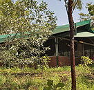 Arnhemland Barramundi Nature Lodge - Accommodation Coffs Harbour