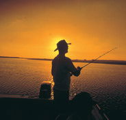 Point Stuart Wilderness Lodge - Accommodation Coffs Harbour