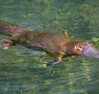 Eilean Donan Gardens - Accommodation Coffs Harbour