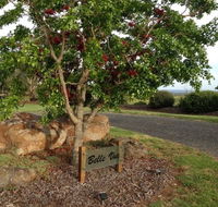 Belle Vue Studio - Accommodation Coffs Harbour