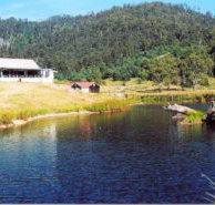Millybrook Lodge - Accommodation Coffs Harbour