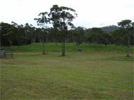 Mt White Lodge - Accommodation Coffs Harbour 0