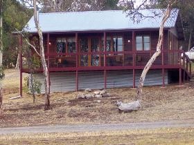 Ivybrook Vineyard Cottage - Accommodation Coffs Harbour 0