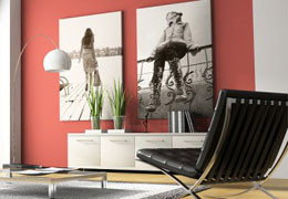A Good Sort - Accommodation Coffs Harbour 3
