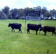 Cluan Homestead - Accommodation Coffs Harbour