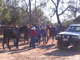 Evening Star Tourist Park - Accommodation Coffs Harbour 0