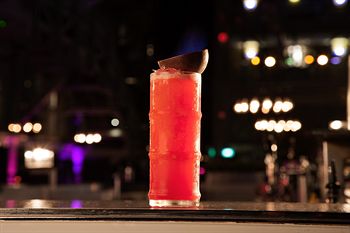 Ovolo Woolloomooloo - Accommodation Coffs Harbour 12
