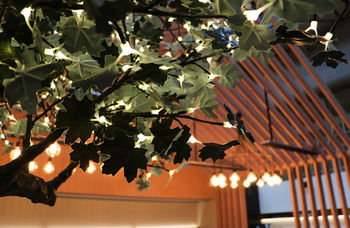 Ovolo Woolloomooloo - Accommodation Coffs Harbour 25