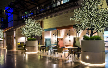 Ovolo Woolloomooloo - Accommodation Coffs Harbour 49