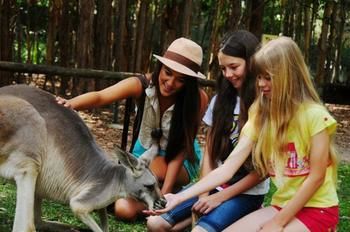 Pacific Horizons Resort - Accommodation Coffs Harbour 23