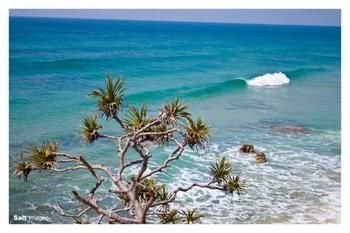 Pacific Horizons Resort - Accommodation Coffs Harbour 24