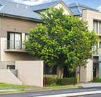 Quest Maitland Serviced Apartments - Accommodation Coffs Harbour