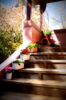 Hotel Avonleigh - Accommodation Coffs Harbour 13