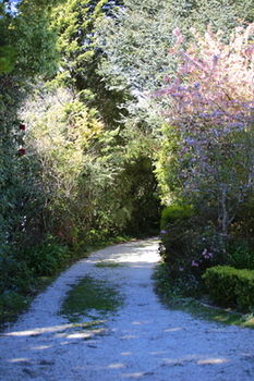 Hotel Avonleigh - Accommodation Coffs Harbour 15