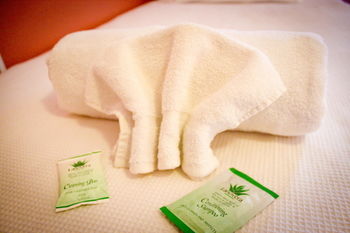 Hotel Avonleigh - Accommodation Coffs Harbour 37