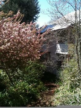 Hotel Avonleigh - Accommodation Coffs Harbour 45