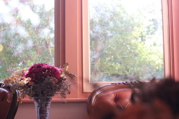 Hotel Avonleigh - Accommodation Coffs Harbour 46