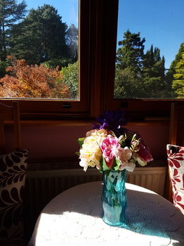 Hotel Avonleigh - Accommodation Coffs Harbour 66