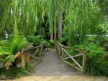 The Falls - Accommodation Coffs Harbour 11
