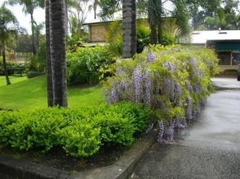 The Falls - Accommodation Coffs Harbour 12