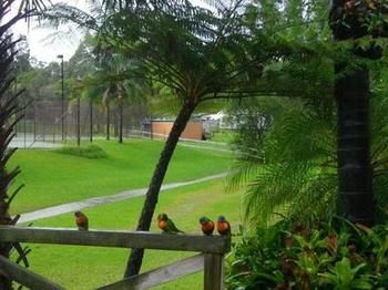 The Falls - Accommodation Coffs Harbour 17