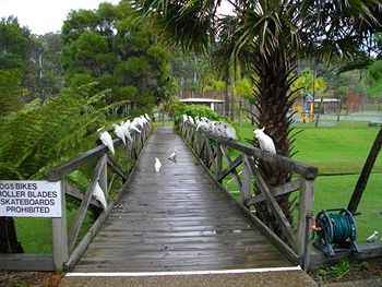 The Falls - Accommodation Coffs Harbour 7