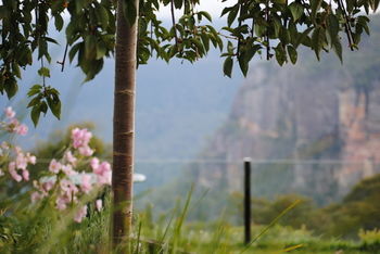 Echoes Boutique Hotel And Restaurant - Accommodation Coffs Harbour 13