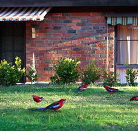 Crimson Villa - Accommodation Coffs Harbour