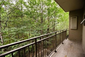 Bluegum Apartments - Accommodation Coffs Harbour 4