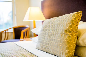 Retreat At Wisemans - Accommodation Coffs Harbour 13