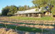 Casuarina Estate - thumb 39