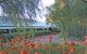 Casuarina Estate - thumb 49