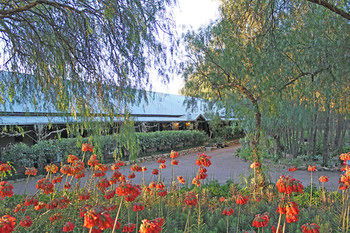 Casuarina Estate - Accommodation Coffs Harbour 49