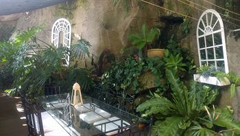 Linley House Bed & Breakfast - Accommodation Coffs Harbour 3