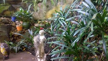 Linley House Bed & Breakfast - Accommodation Coffs Harbour 4