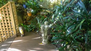 Linley House Bed & Breakfast - Accommodation Coffs Harbour 5