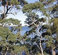 The Edgewater Bed amp Breakfast - Accommodation Coffs Harbour