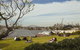 Cockatoo Island - thumb 28