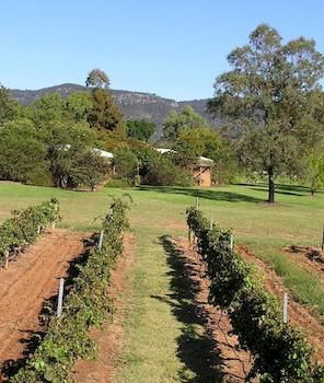 Forrest Hills Ridge - Accommodation Coffs Harbour 2