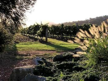 Forrest Hills Ridge - Accommodation Coffs Harbour 3