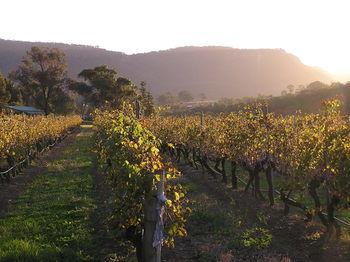 Forrest Hills Ridge - Accommodation Coffs Harbour 7