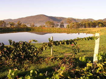 Forrest Hills Ridge - Accommodation Coffs Harbour 9
