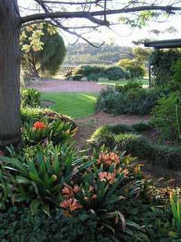 Forrest Hills Ridge - Accommodation Coffs Harbour 11