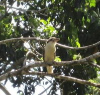 Sunshine Valley Cottages - Accommodation Coffs Harbour