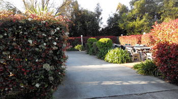 Branxton House Motel, Hunter Valley - Accommodation Coffs Harbour 13