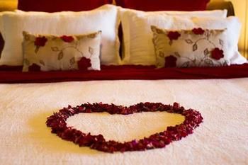 Montville Misty View Cottages - Accommodation Coffs Harbour 10