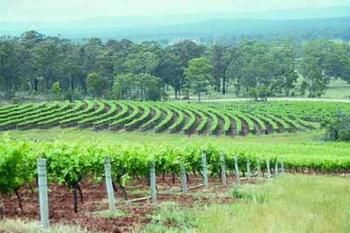 Hunter Hideaway Cottages - Accommodation Coffs Harbour 3