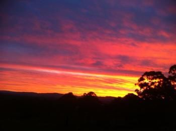 Rothbury Escape - Accommodation Coffs Harbour 11