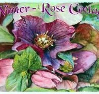 A Winter-rose Cottage BampB - Accommodation Coffs Harbour