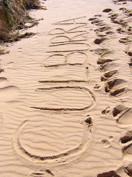 Culburra Beach House - Accommodation Coffs Harbour 12